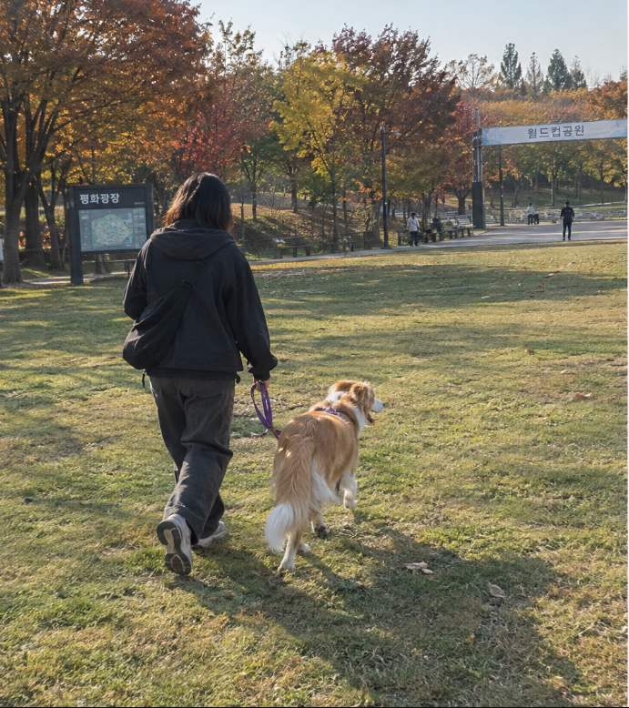 월드컵공원 평화광장에서 고깔 사이를 지그재그로 달리는 반려견과 보호자