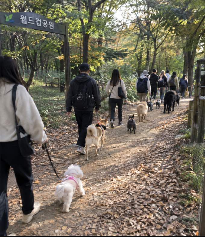 서울 펫림픽 평화의공원 산책로를 반려견과 함께 걷는 도그트레일 참가자들