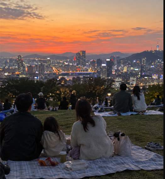 백범광장 잔디에서 캠프닉을 즐기는 팀들의 저녁 풍경