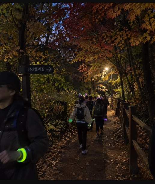 남산공원 숲길에서 단풍을 따라 걷는 야간 산책 풍경