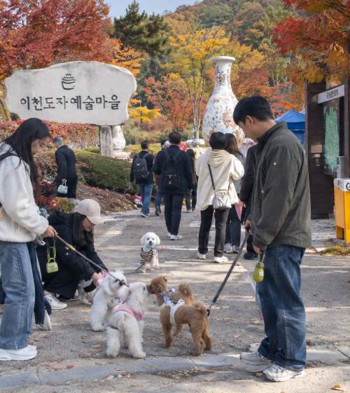 이천도자예술마을 예스파크 야외에서 열리는 반려견 운동회 현장