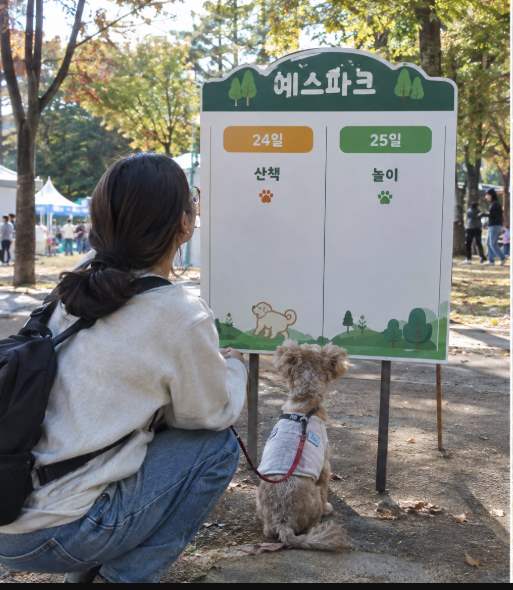 예스파크 피크닉존과 포토존에서 쉬는 반려견과 보호자들