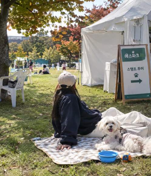 이천도자예술마을 예스파크 가을 산책로 전경