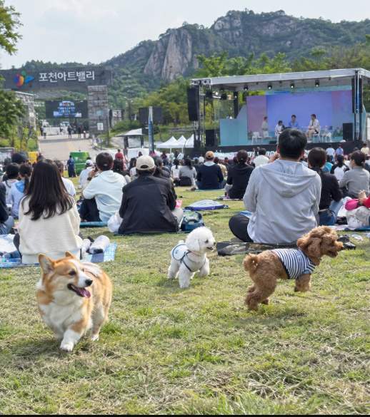 포천아트밸리 힐링숲 길을 반려견과 함께 걷는 보호자의 모습